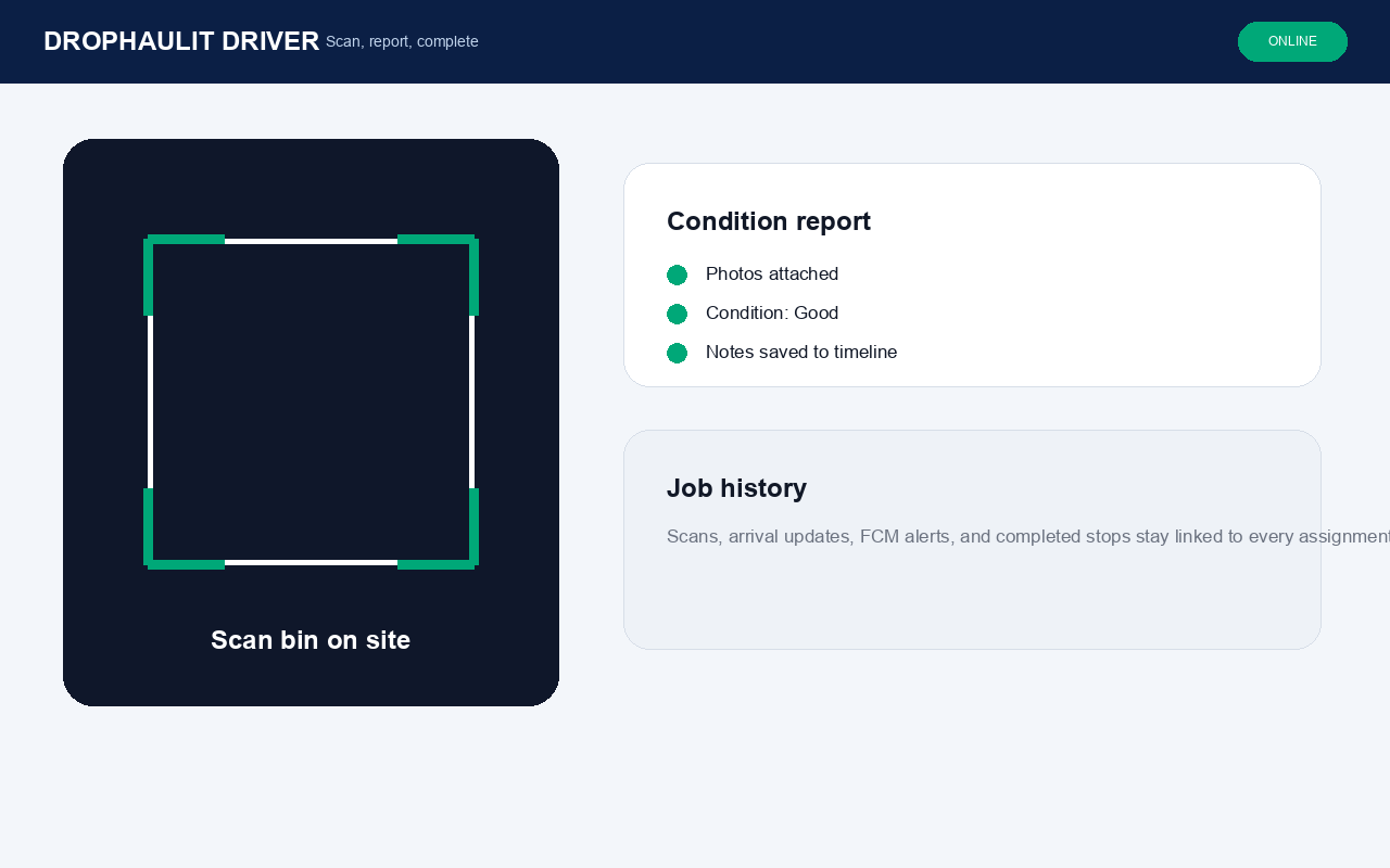 Scan & report on site - desktop
